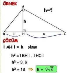 Öklid örnekleri matematikkafe